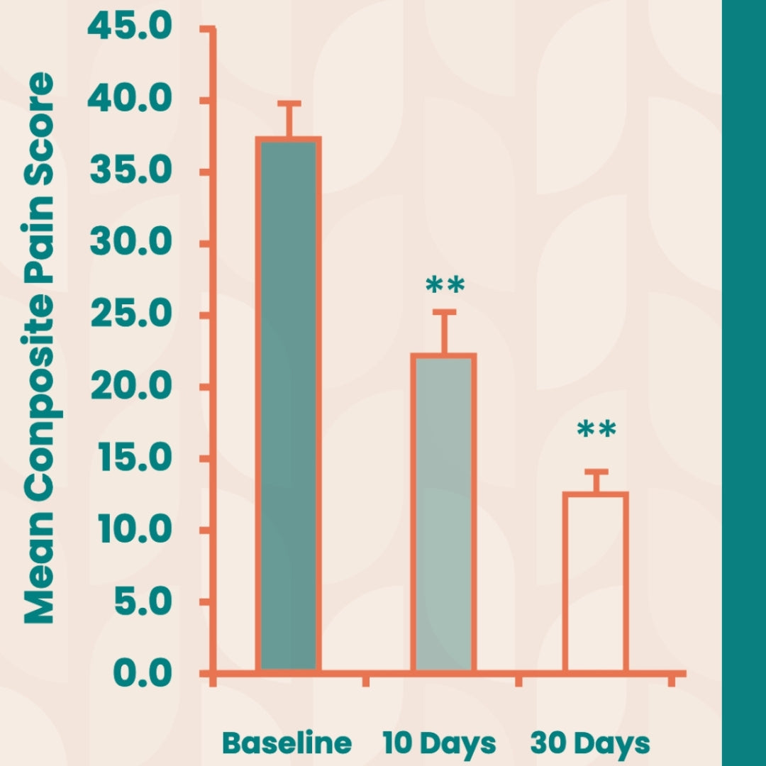 GreenShell Collagen - Advanced Joint Repair Solution